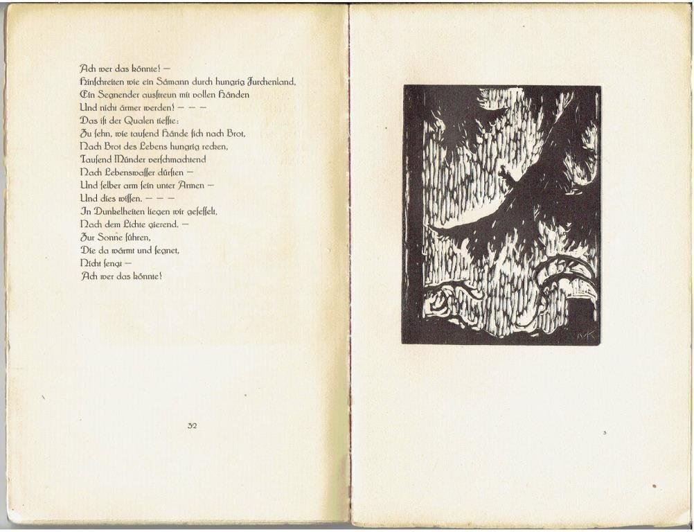 Libri: Adolf Attenhofer - Letzte Torheit, 1923 – Usato da Flims - Dorf venduto da Stagediver 3