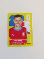 Panini World Cup 2026 CZE 7