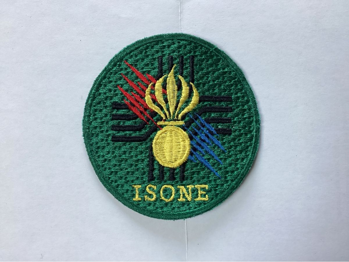 Schweizer Armee Plaketten & Abzeichen: Badges Isone – Gebraucht aus niederurnen von Hagugelmann