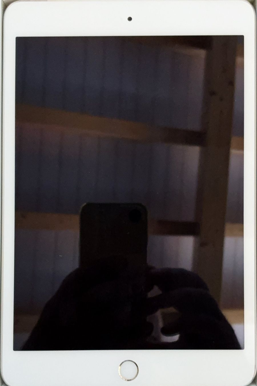 Apple Tablet PC: iPad Mini 3 WiFi Cellular – Usato da Ringgenberg BE venduto da ziggythecat