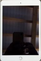 iPad Mini 3 WiFi Cellular