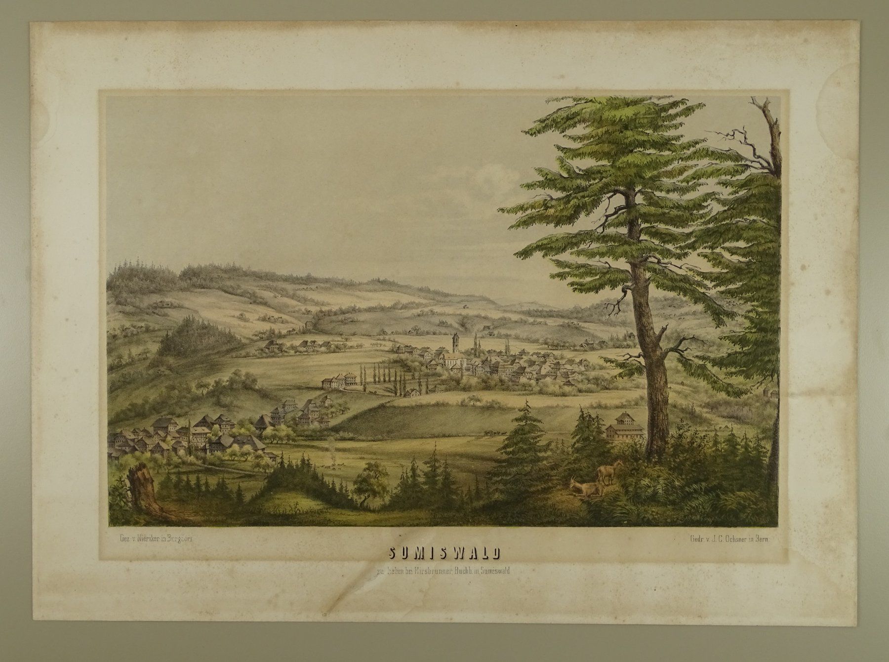 Incisioni: SUMISWALD, LITHOGRAPHIE UM 1870 – Usato da Grüningen venduto da Kartensammler 1