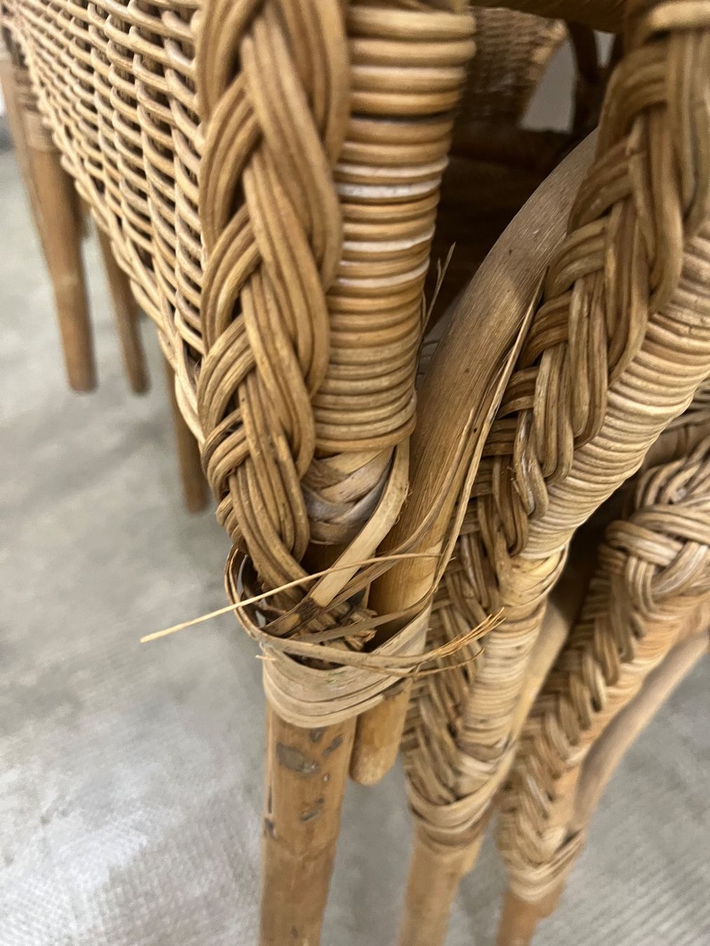 Poltrone: 6 Rattan-Sessel – Usato da Basel venduto da Julian_280 7