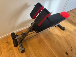 FF Finer Form Hantelbank Hyperextensions