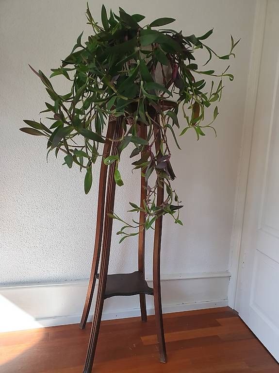 Sonstiges für Haushalt & Wohnen: Blumenständer  – Gebraucht aus Olten von stritten 3