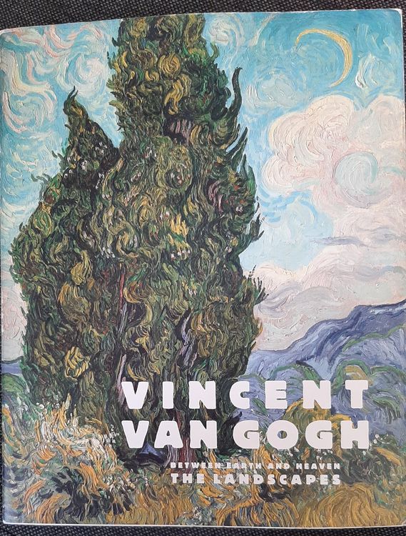 Vincent van Gogh - The landscapes - Kunstmuseum Basel (Gebraucht) in ...