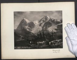 Fotografie Wengeralp, Kuhherde vor dem G