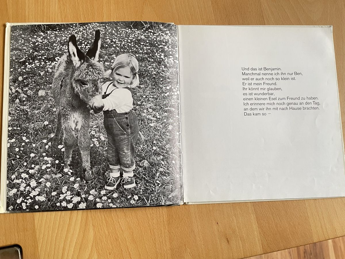 Libri: Kinderbuch von 1960 – Usato da Meiringen venduto da Lolo2000 3