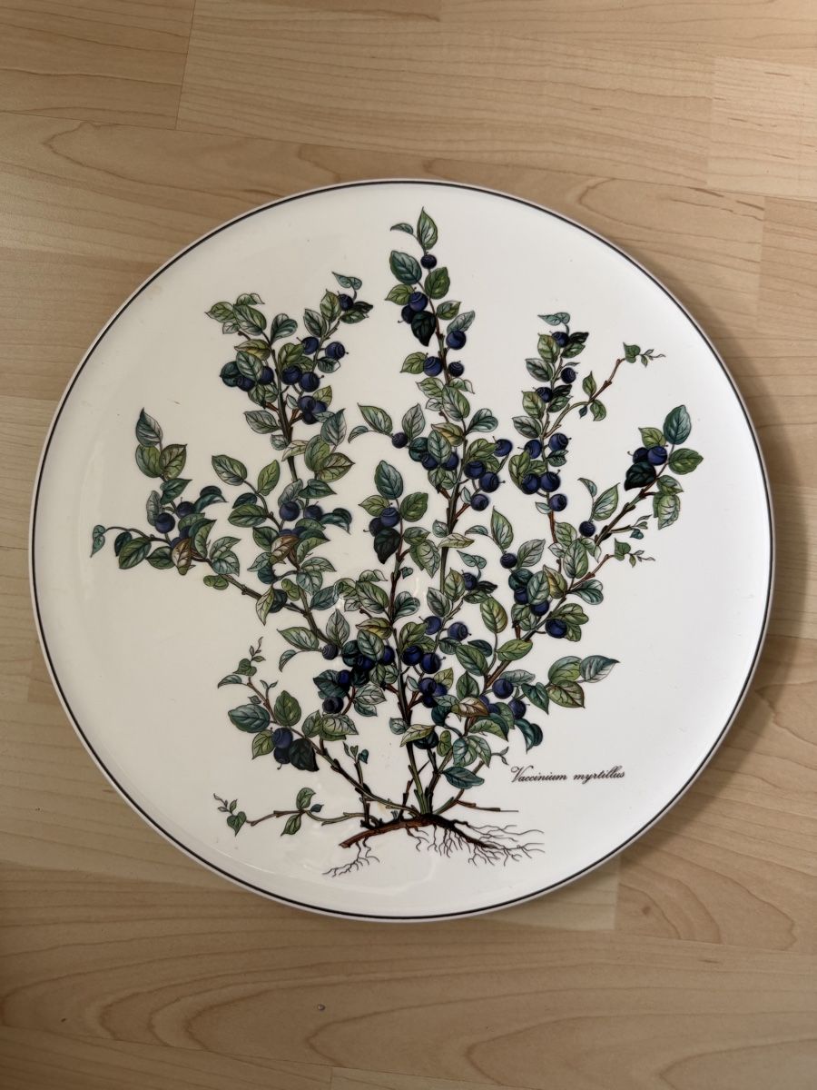 Villeroy & Boch Piatti di portata: Runde Villeroy Boch Tortenplatte – Nuovo (secondo la descrizione) da Aarau venduto da Maeschi4