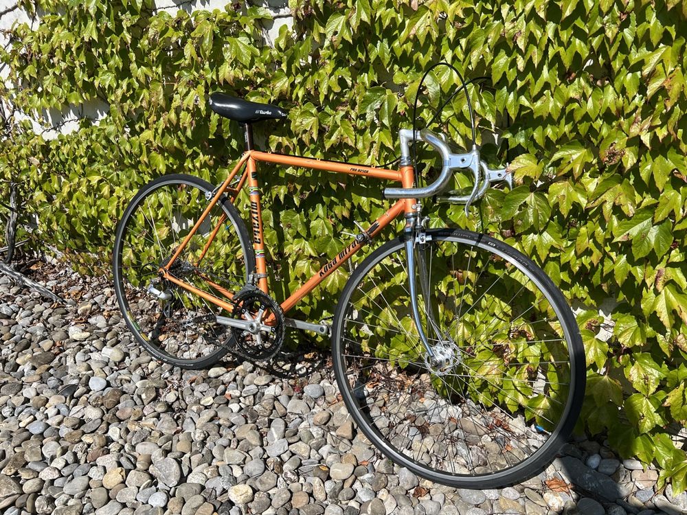 Rennvelo Koga Miyata Pro Racer 1979 (Gebraucht) in Zürich für CHF 700