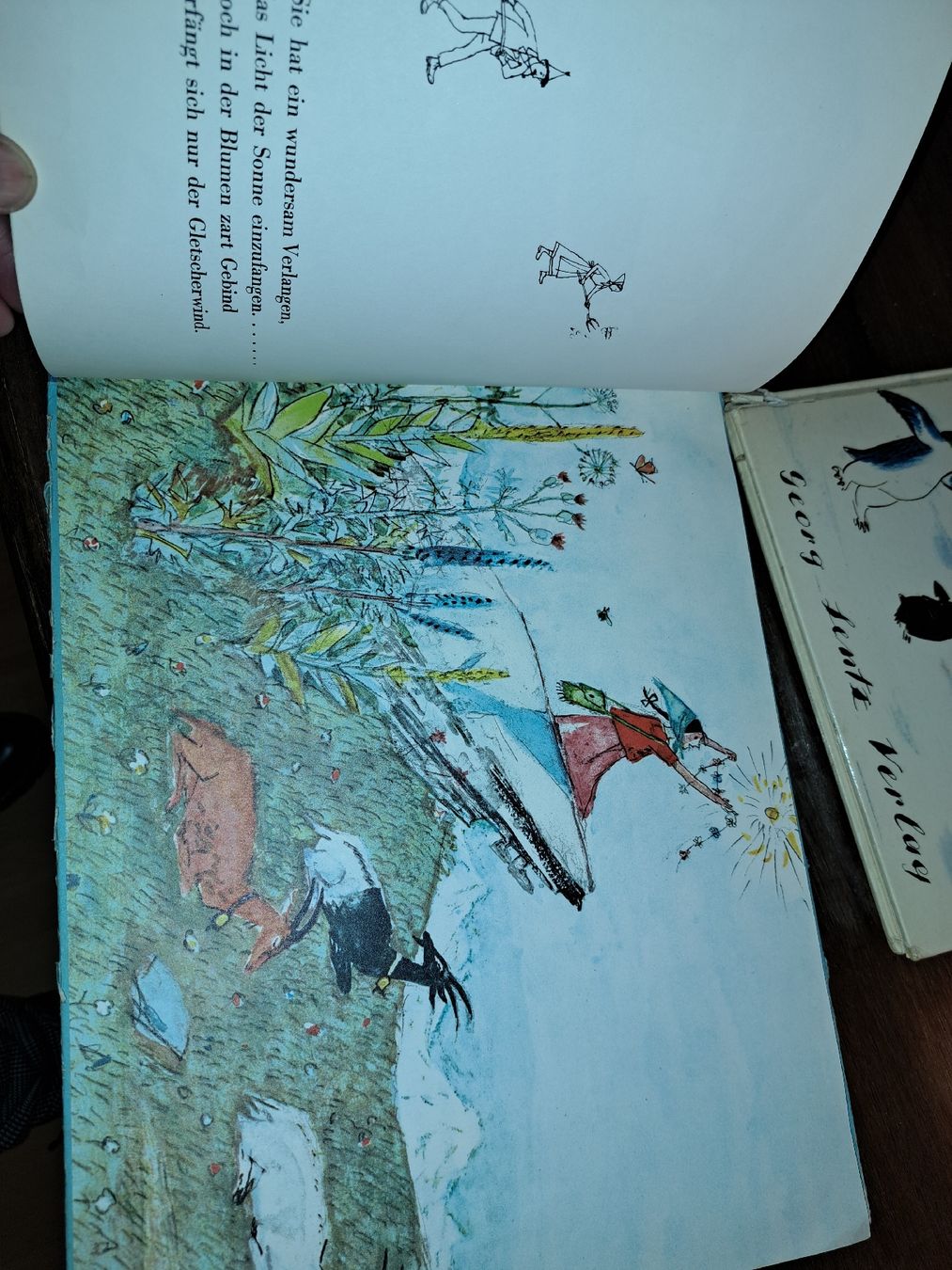Libri: Flurina und das Wildvöglein 2 Bücher – Usato da Kölliken venduto da Upcycling-by-Mc-TAM 6
