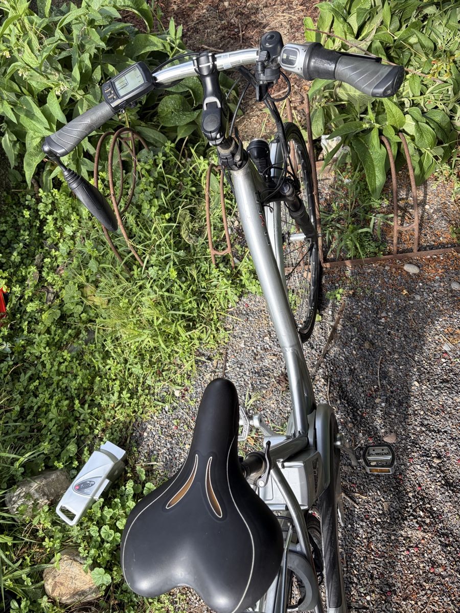 Flyer Velos: Flyer E-Bike grau – Defekt aus Horgen von sas_gd8m 1