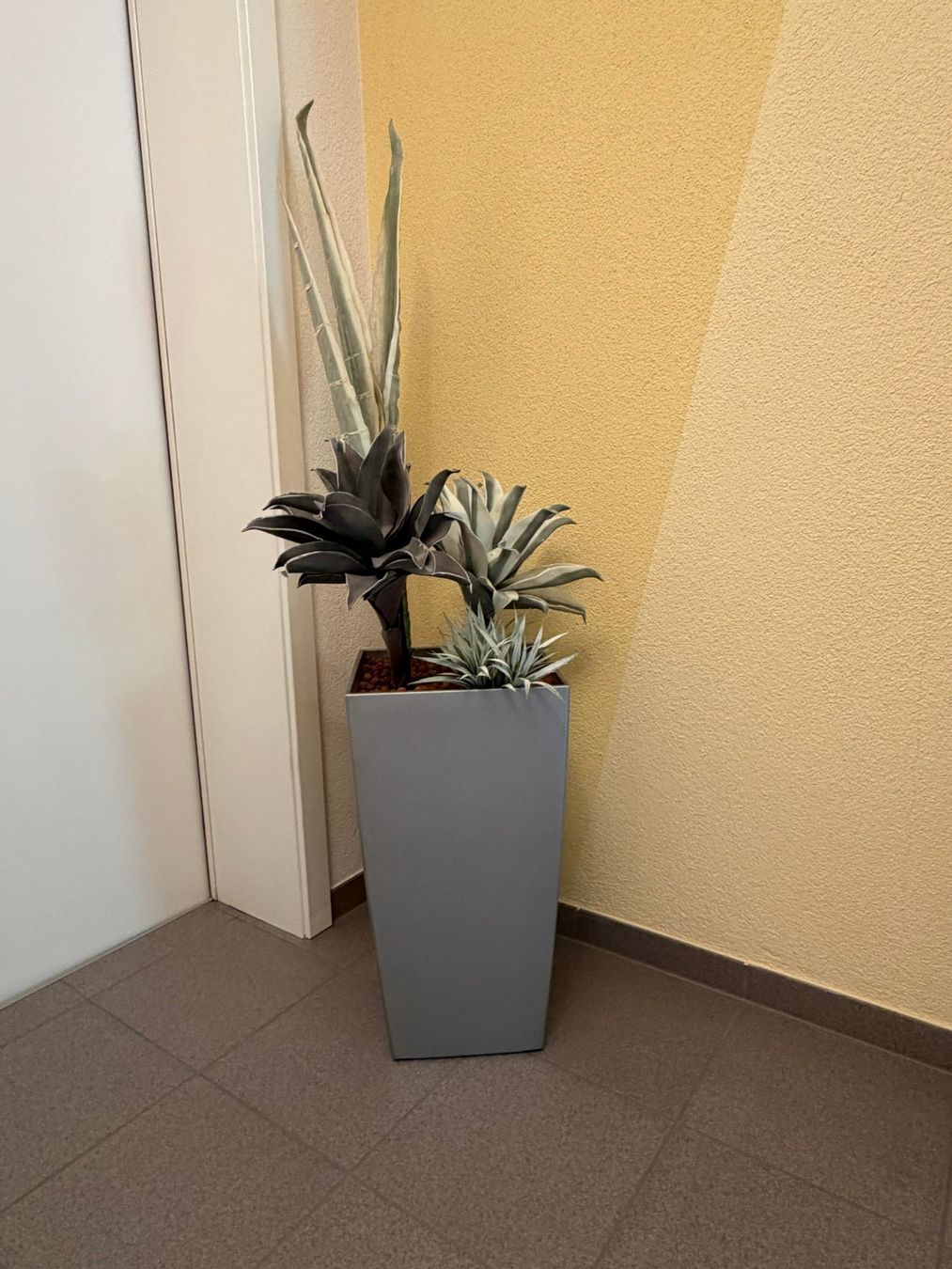 Pots de fleurs: Übertopf – D'occasion à Buonas par pet_zgr6 1
