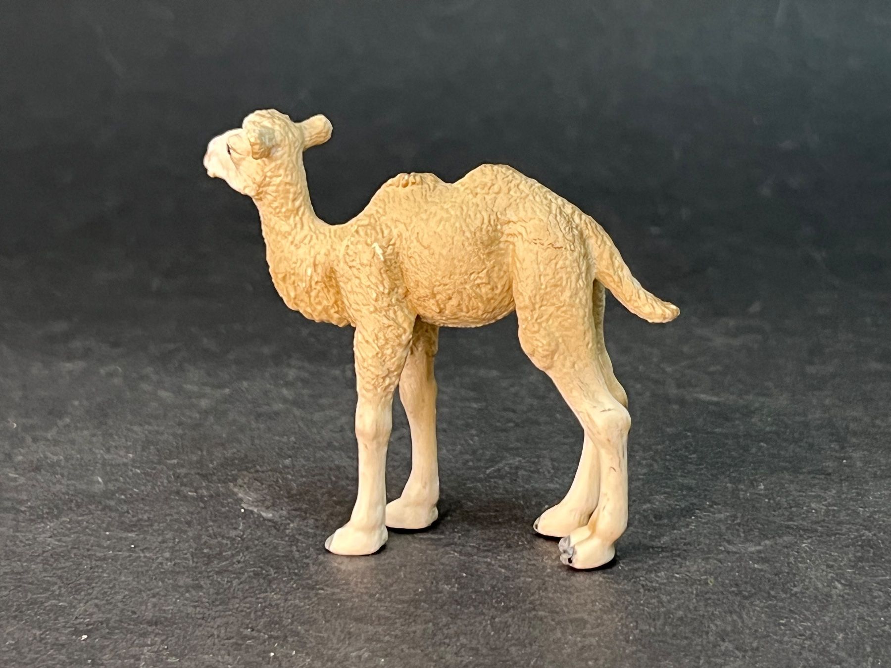 Schleich Statuette: Schleich 14602 Trampeltier Fohlen Kamel – Usato da Ennetbaden venduto da mapa05 3