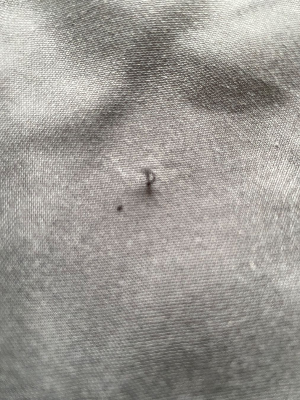 Mos mosh Pantaloni: Mos Mosh Hose Gr. 32 Grau / Anthrazit – Usato da Zürich venduto da triangular 7