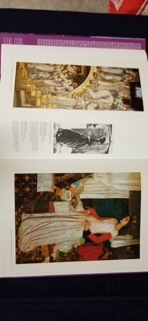 Libri: Symbolismus, Bildband – Usato da Büsingen venduto da Flohminator 7