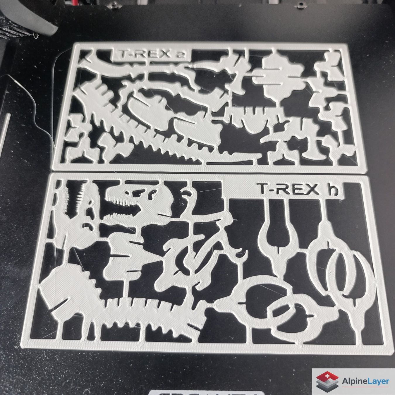Puzzle: T-Rex Skeleton Kit Card 3D Printed Puzzle White – Nuovo (secondo la descrizione) da Losone venduto da AlpineLayer 1