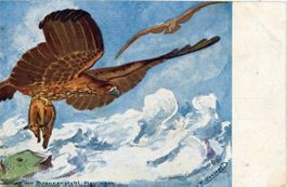 Berner Oberland   BE  -  Adler mit Beute     ca-  1 9 0 0