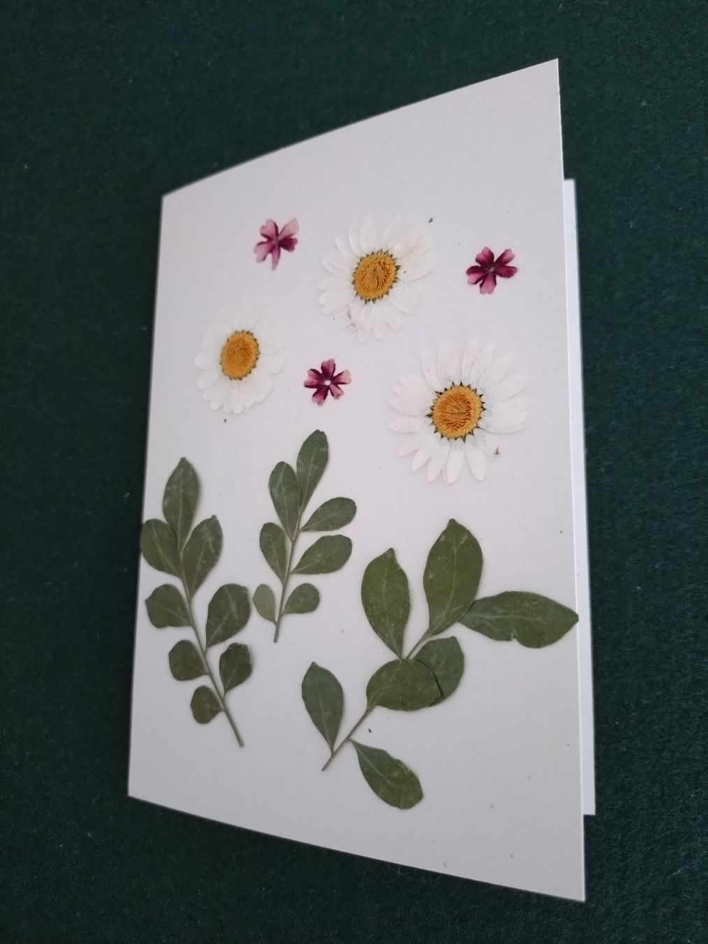 Karten: Grusskarte mit echten Blüten und Blättern – Neu und originalverpackt aus Kilchberg ZH von chr_g5kn 1