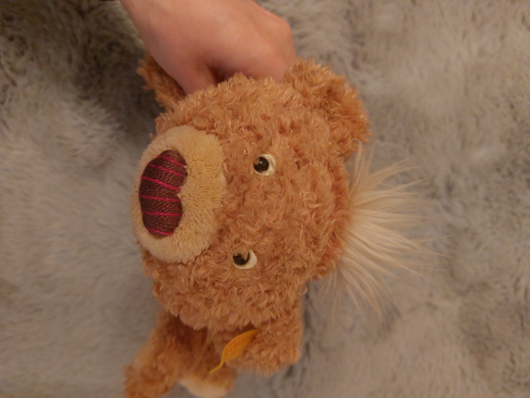 Steiff Jouets: Stoffbär von Steiff – D'occasion à Allschwil par cat_nmt7 3
