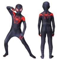 Spiderman Anzug Kinder und Erwachsene 90 bis 190cm