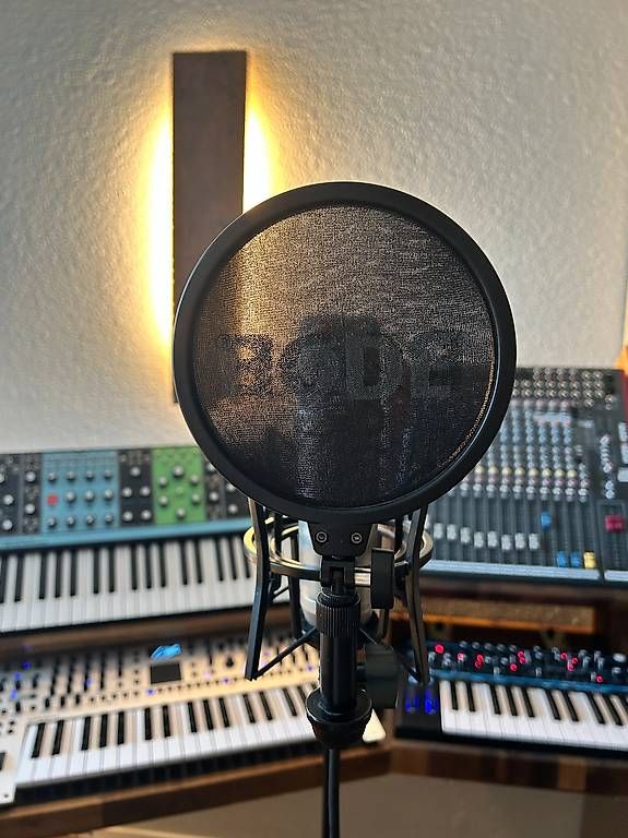 Microfoni: RØDE NT1-A inkl. Reflexionsfilter, Spinne & Popschutz – Usato da Seewen Sz venduto da car_95zr