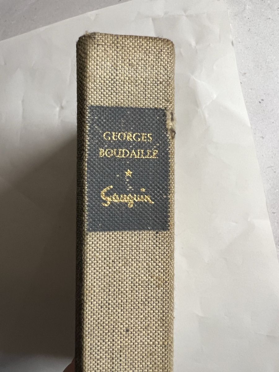 Libri: Bücher Gauguin – Usato da Niederrohrdorf venduto da beniledergerber