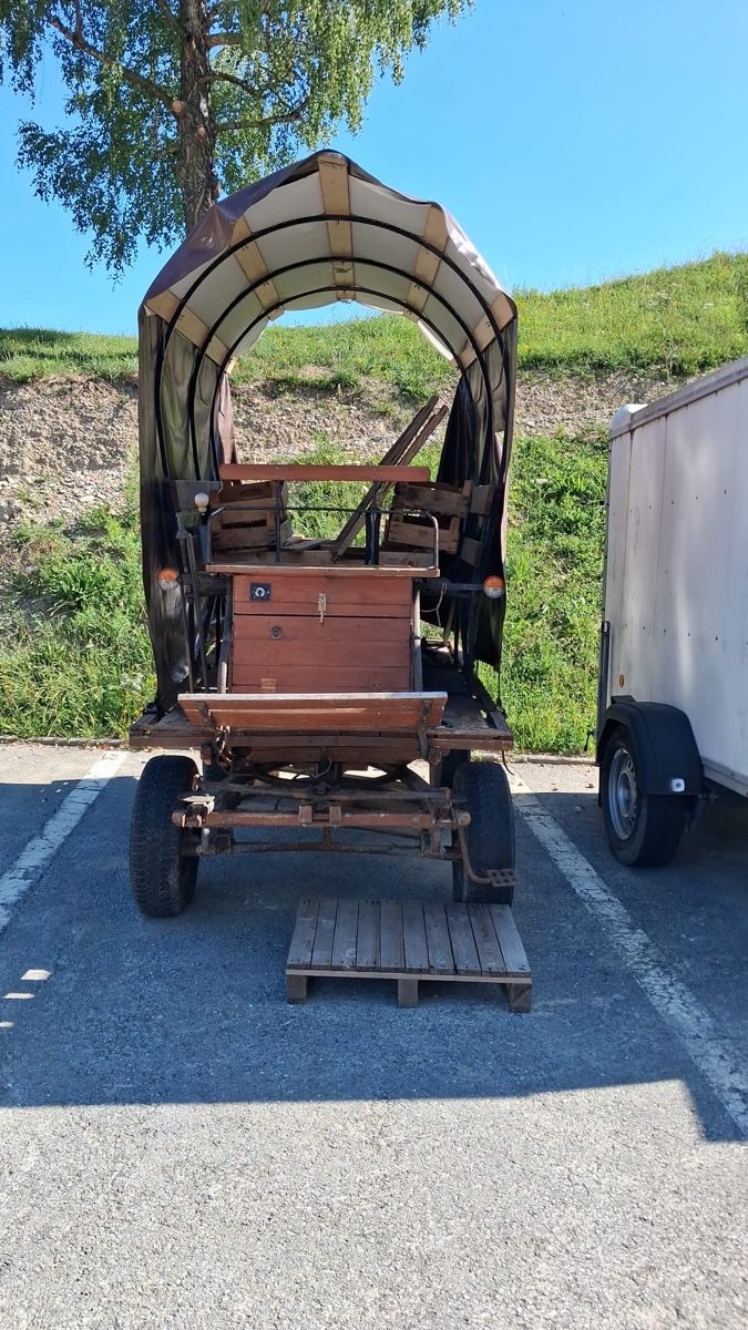 Carrozze: Alter Pferdewagen – Usato da Willisau venduto da son_lq7g 1
