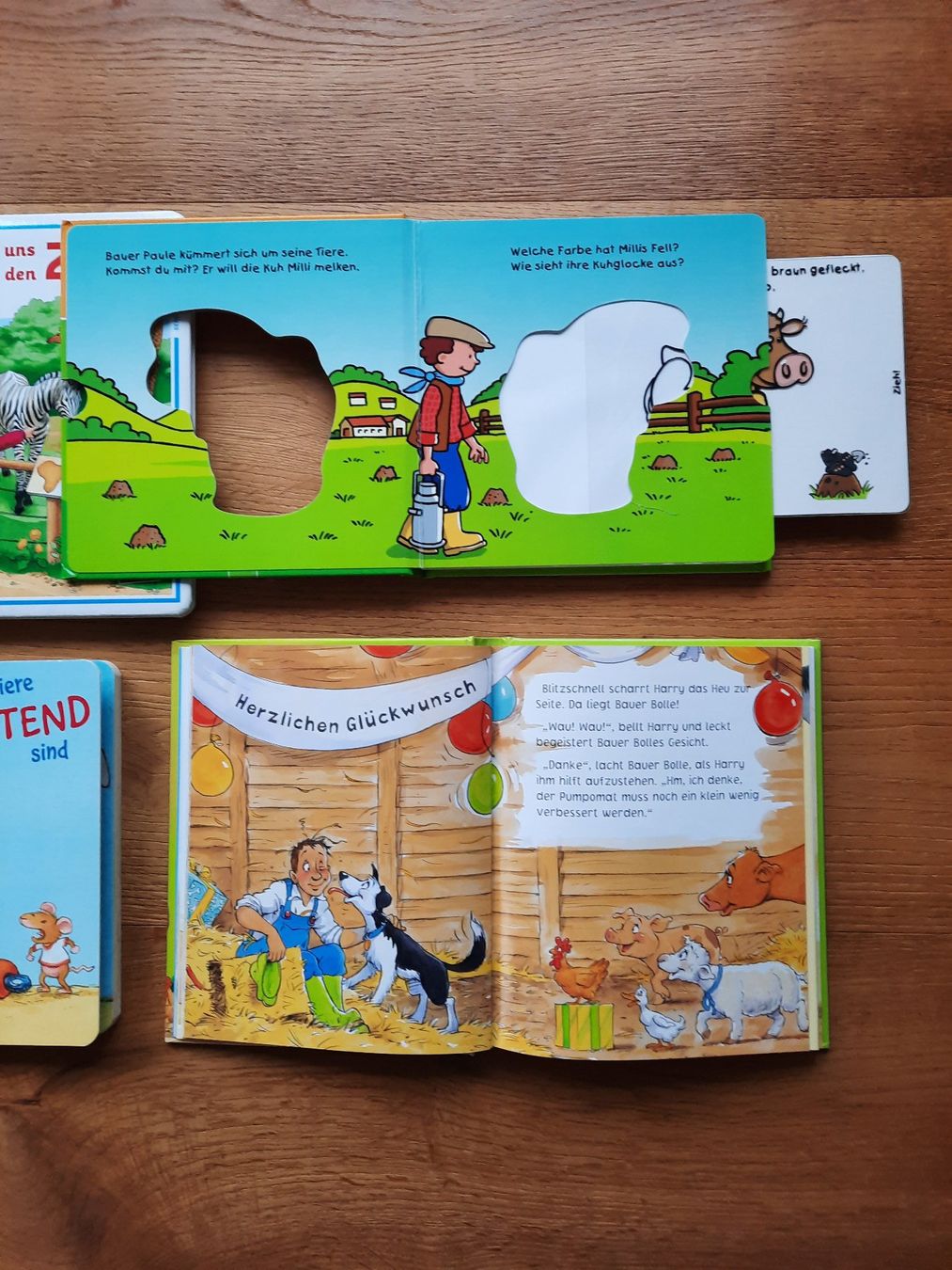 Libri: Kinderbücher Set - 4 Stück – Usato da Altnau venduto da willpower71 2