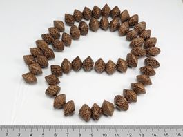 Palmholz Strang 50cm länge, 15mm Perlen