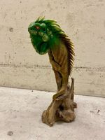 Leguan auf Treibholz