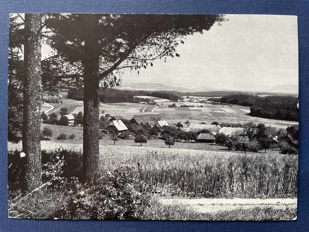 Cartoline postali: Alte Ansichtskarte "Berner Mittelland" Top – Usato da Neuhausen am Rheinfall venduto da Arielle55