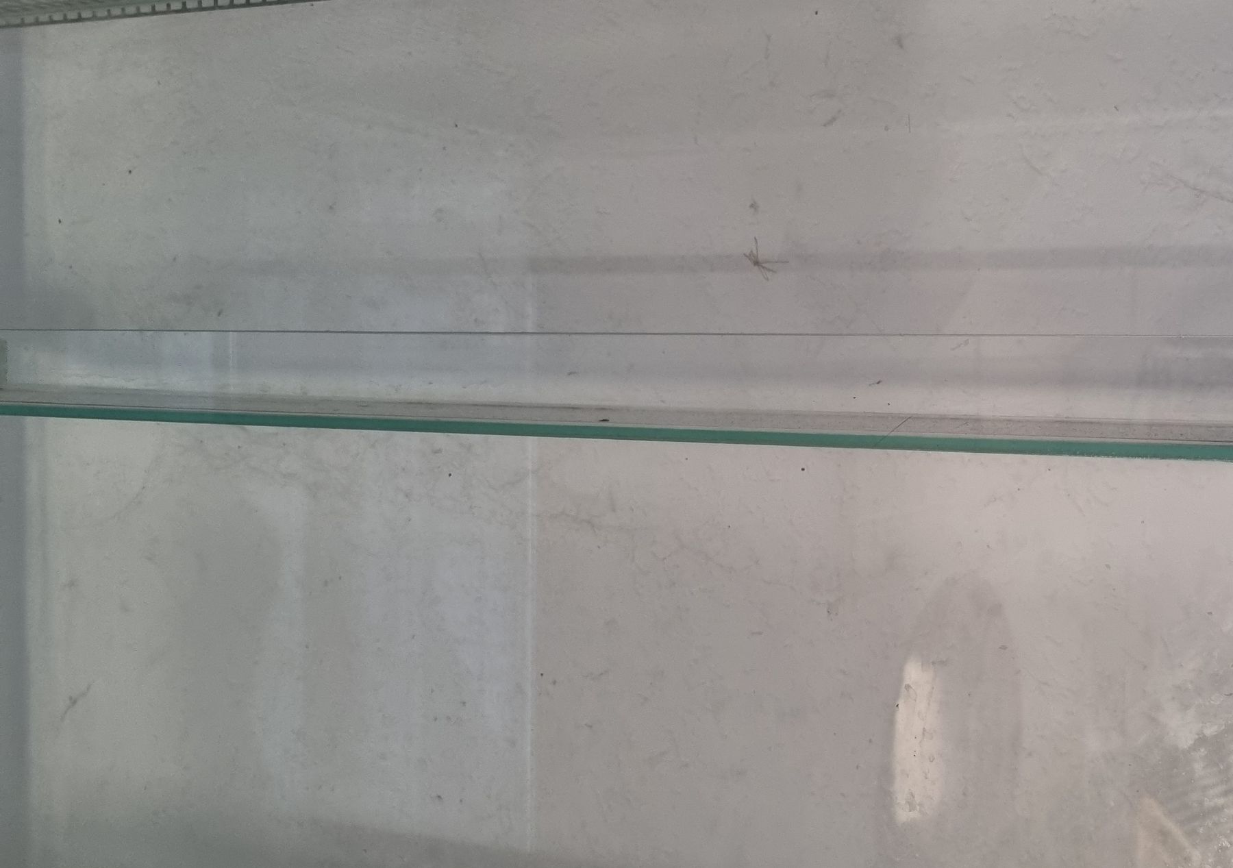 Terrario: Terrarium gross – Usato da Breitenbach venduto da 49fleur 2
