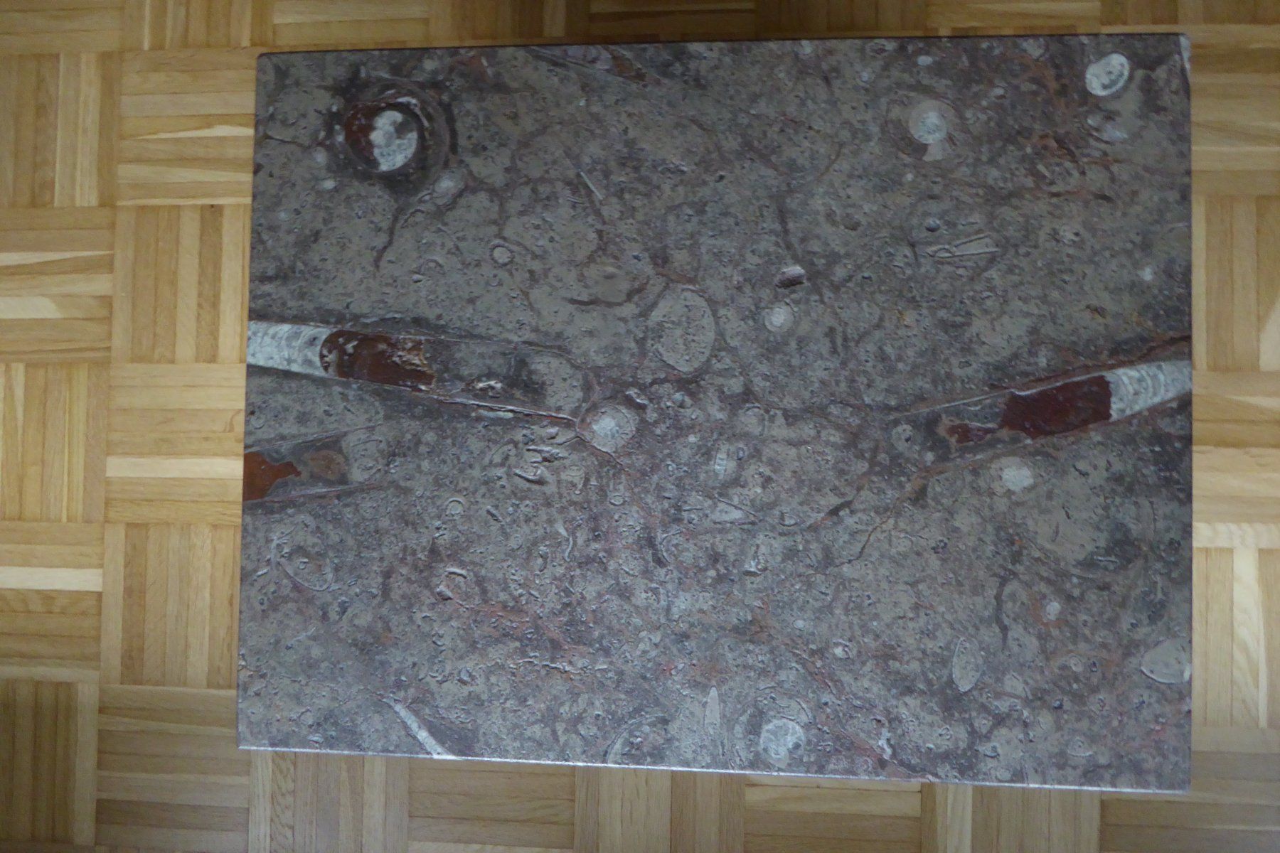 Tavoli: Salontisch Natursteinplatte "Fossilien" – Usato da Bischofszell venduto da MZumbach 1