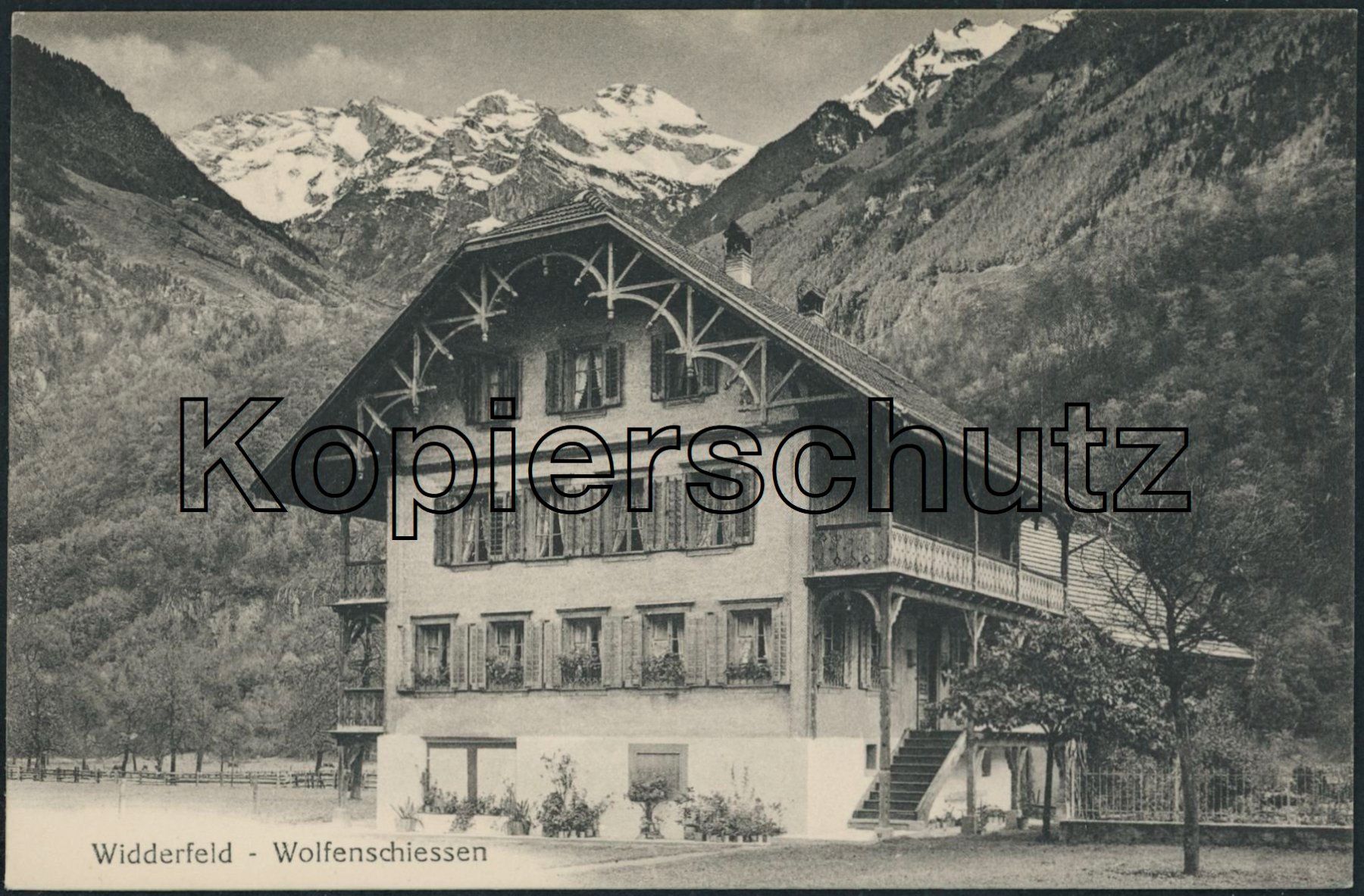 Cartes postales: NW Wolfenschiessen – Neuf (Voir description) à Schindellegi par stationary