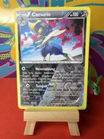 POKÉMON / Caesurio / Steam Siege / Rerverse 🇩🇪