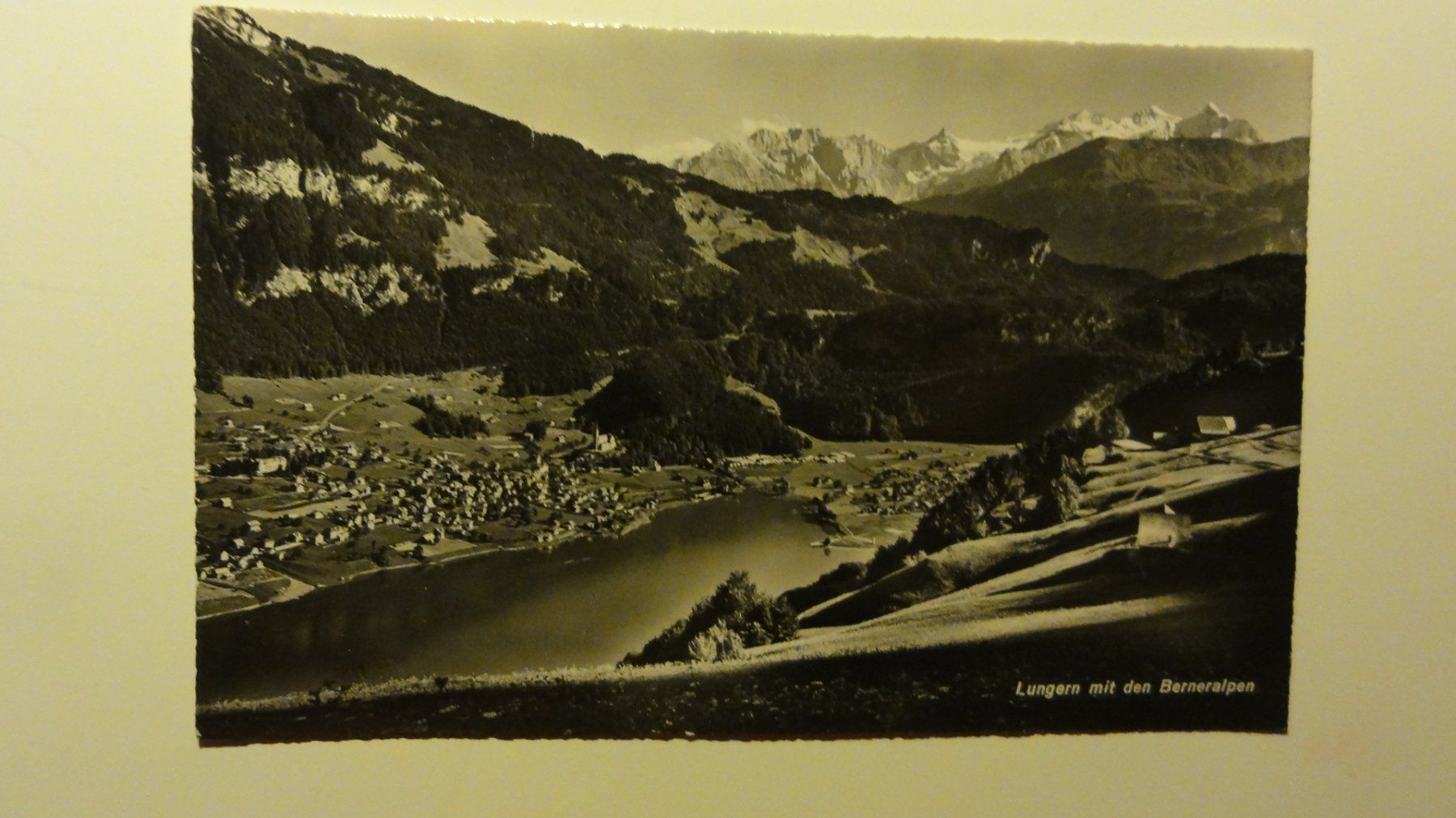 Cartoline postali: Antike Postkarte - Lungen – Usato da Abtwil SG venduto da mutts1