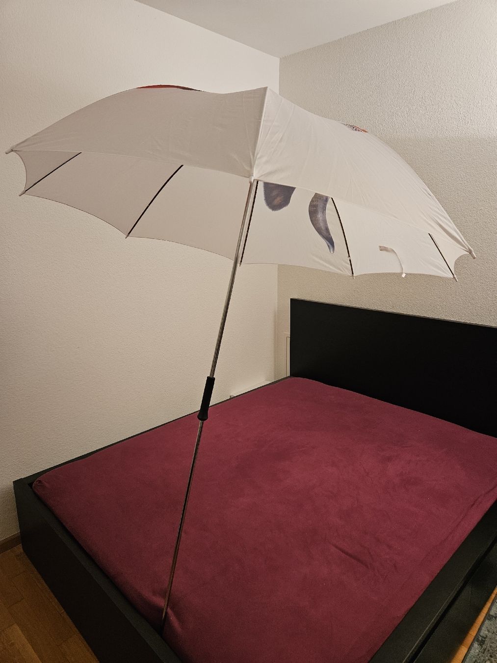 Parapluies: Picnic/Garden Umbrella – Neuf (Voir description) à Basel par yat_r699