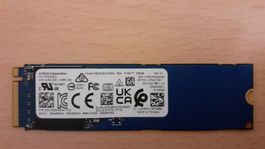 Kioxia 256GB NVMe Notebook