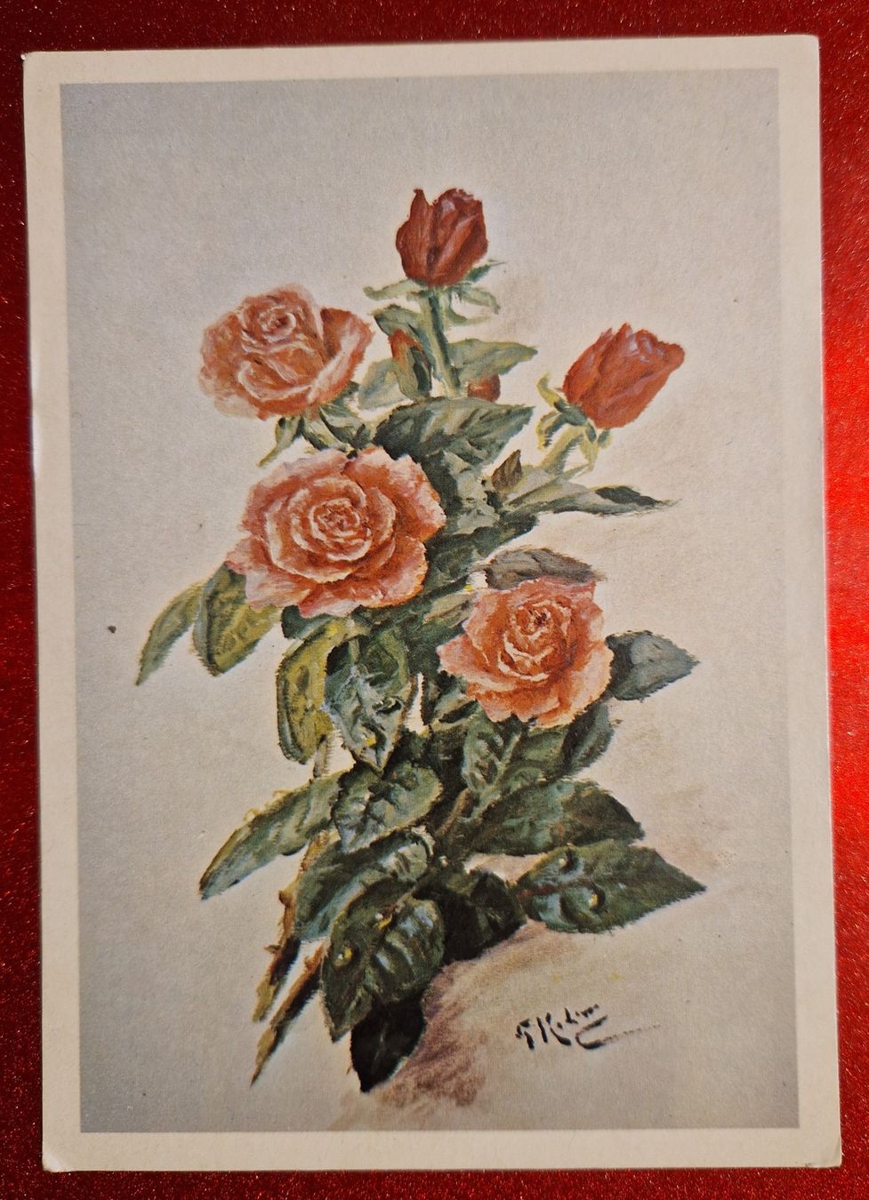 Cartoline postali: Rosenblumen alt – Usato da Melchnau venduto da Arthurius