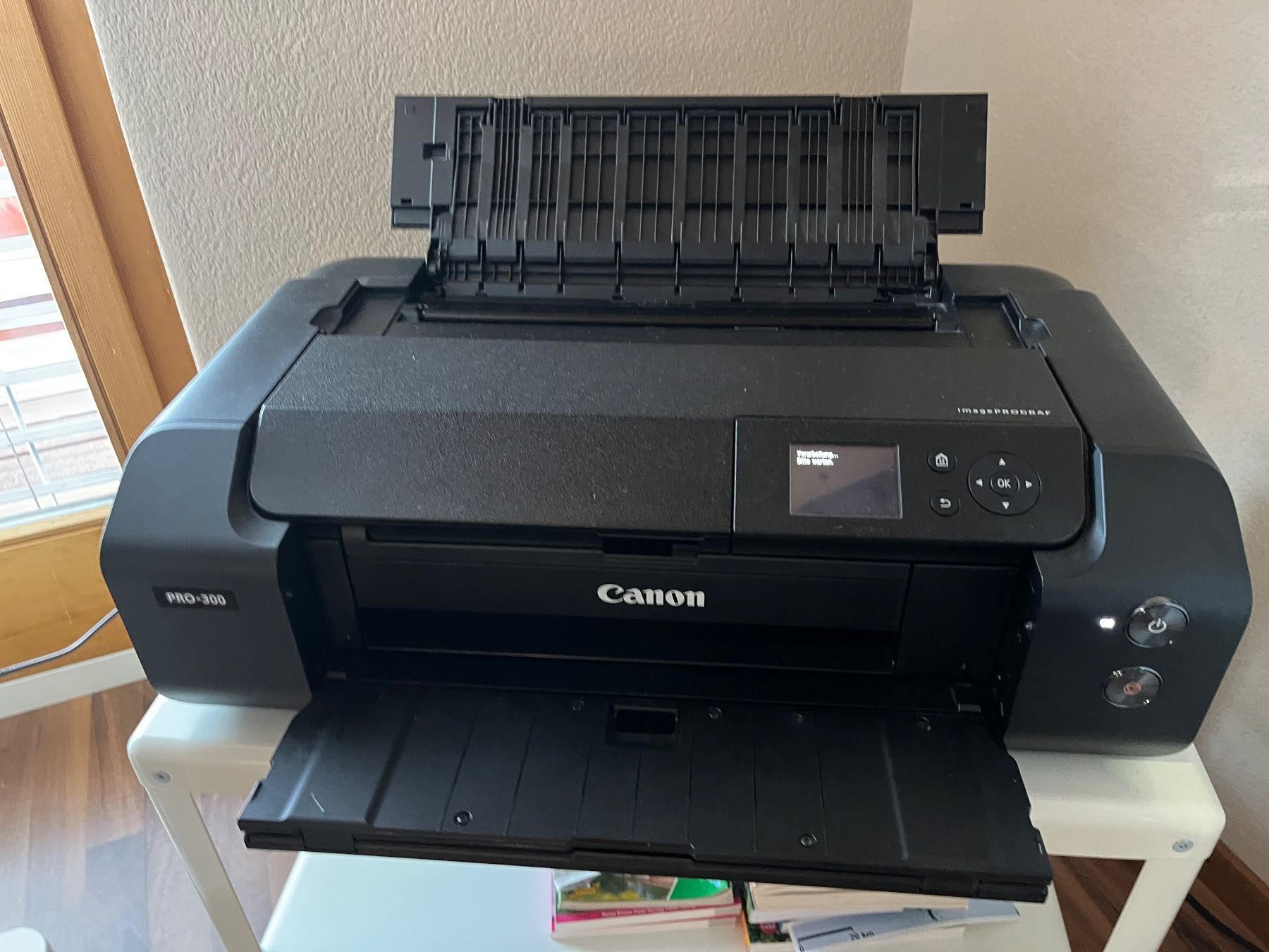 Canon Stampanti: ImagePROGRAF Canon PRO-300 – Usato da Frutigen venduto da Hoschi60
