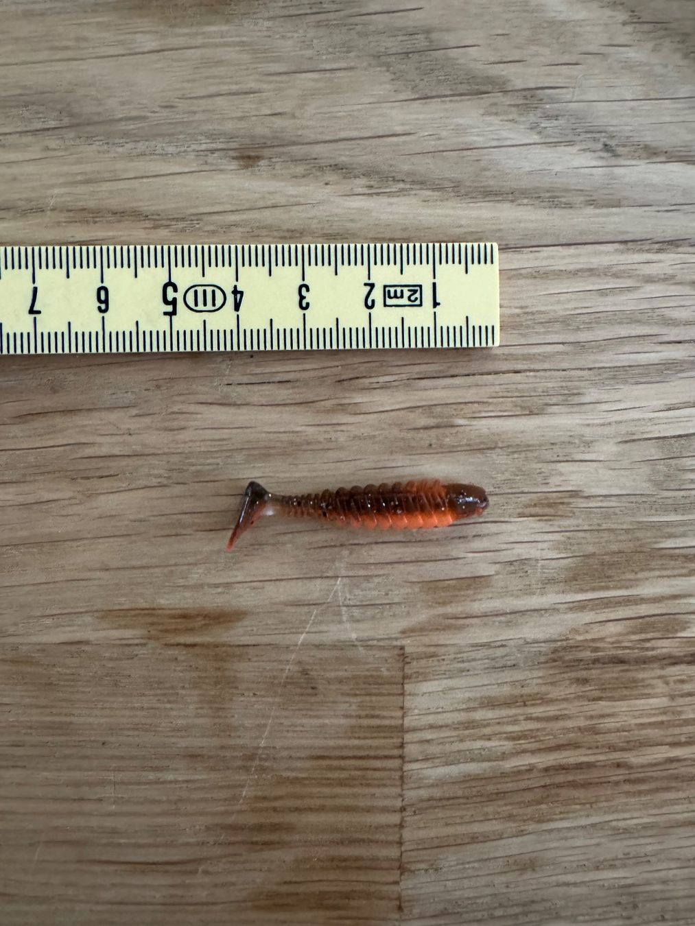 Esche: Gummifische – Nuovo (secondo la descrizione) da Wattwil venduto da Furmeli 1