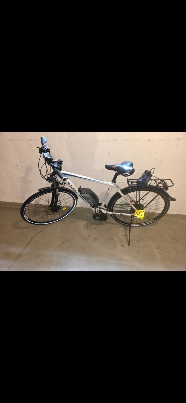 Raleigh Biciclette: E-Bike Raleigh weiss  – Usato da Othmarsingen venduto da Sumeja 3