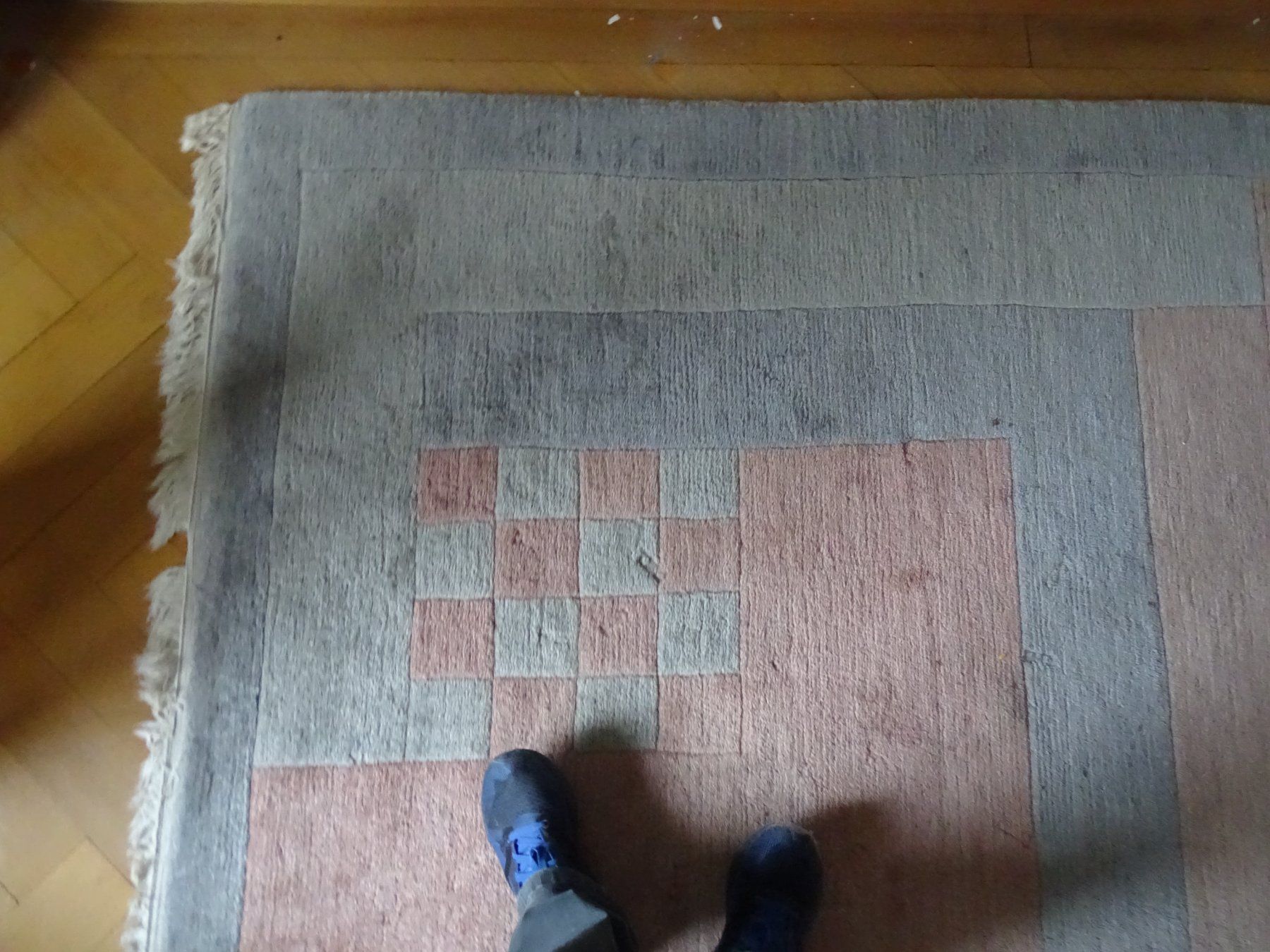 Tappeti: Tibeter Teppich 300 x 250 cm ehemals 5040.- – Usato da Au ZH venduto da xelagreb01 4