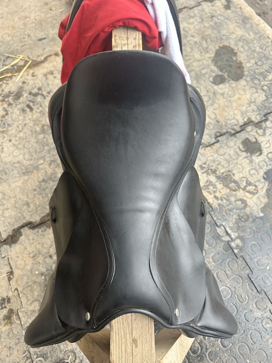 Selle & Accessori: Labelle VS Sattel (Springen) 17.5” – Usato da Männedorf venduto da kajuar 2