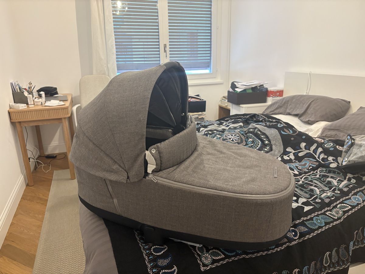 Cybex Kinderwagen: Nacelle Cybex Priam Platinum, 2020 – Neu (gemäss Beschreibung) aus Genève von ann_zlx6 4