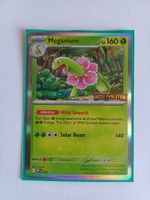Meganium EN (001)