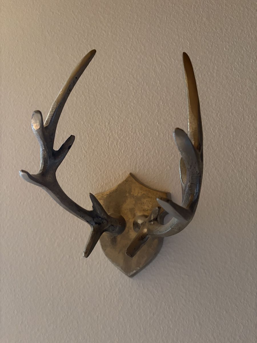Tutte le decorazioni: Deko Geweih silberfarbig  – Usato da Rudolfstetten venduto da Mtiny