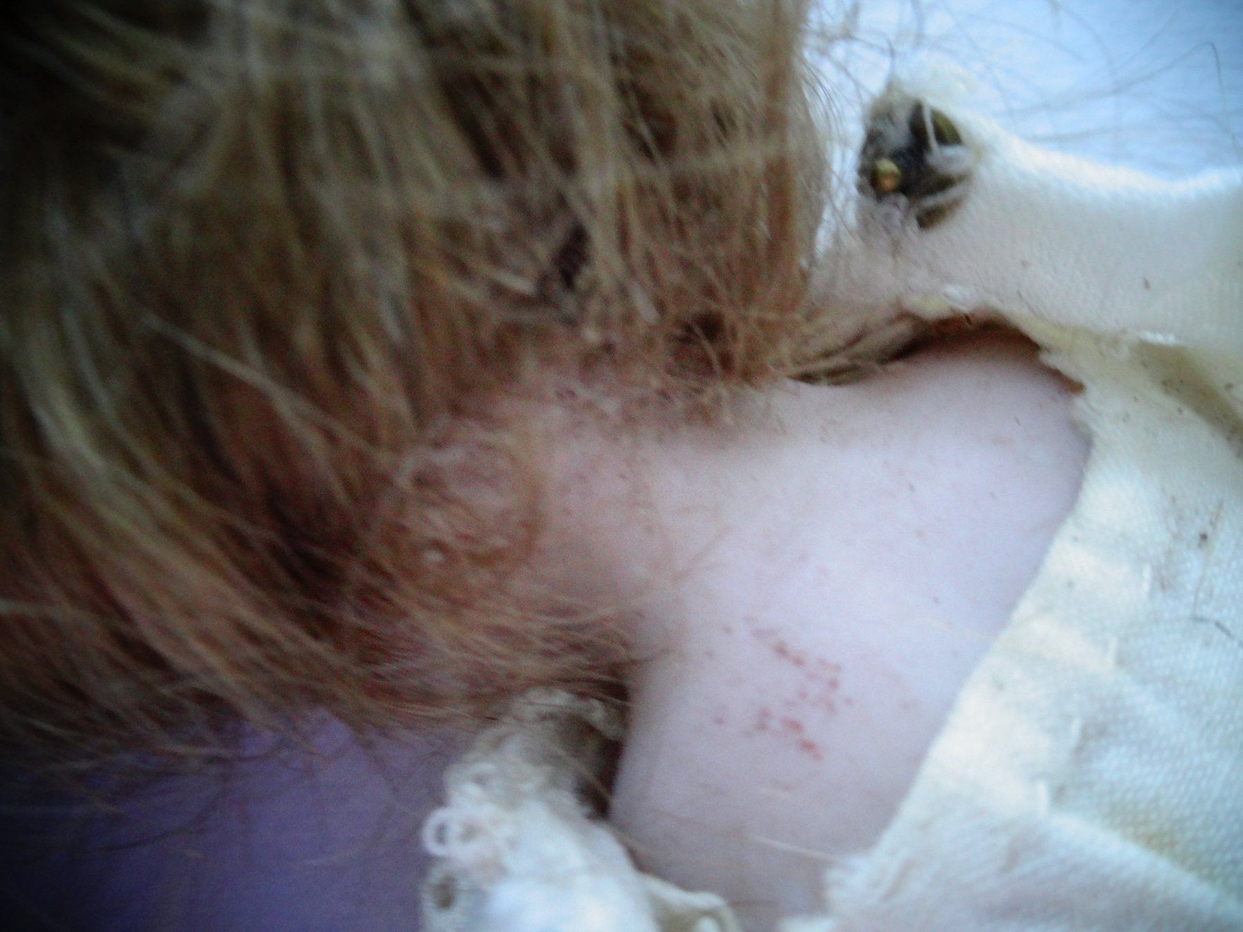 Bambole: Antike Puppe – Usato da Neerach venduto da jenny062 9