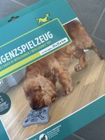 3 Intelligenzspielzeuge für Hunde im Set